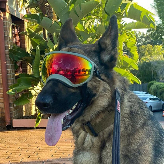 PETRAVEL Dog Goggles Anti UV Sunglasses Windproof Travel Eyewear